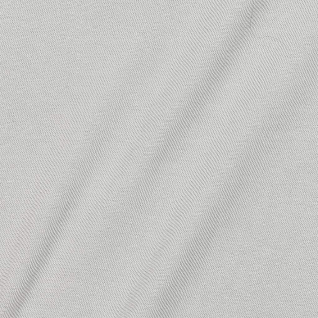 Heavyweight Pigment Tee