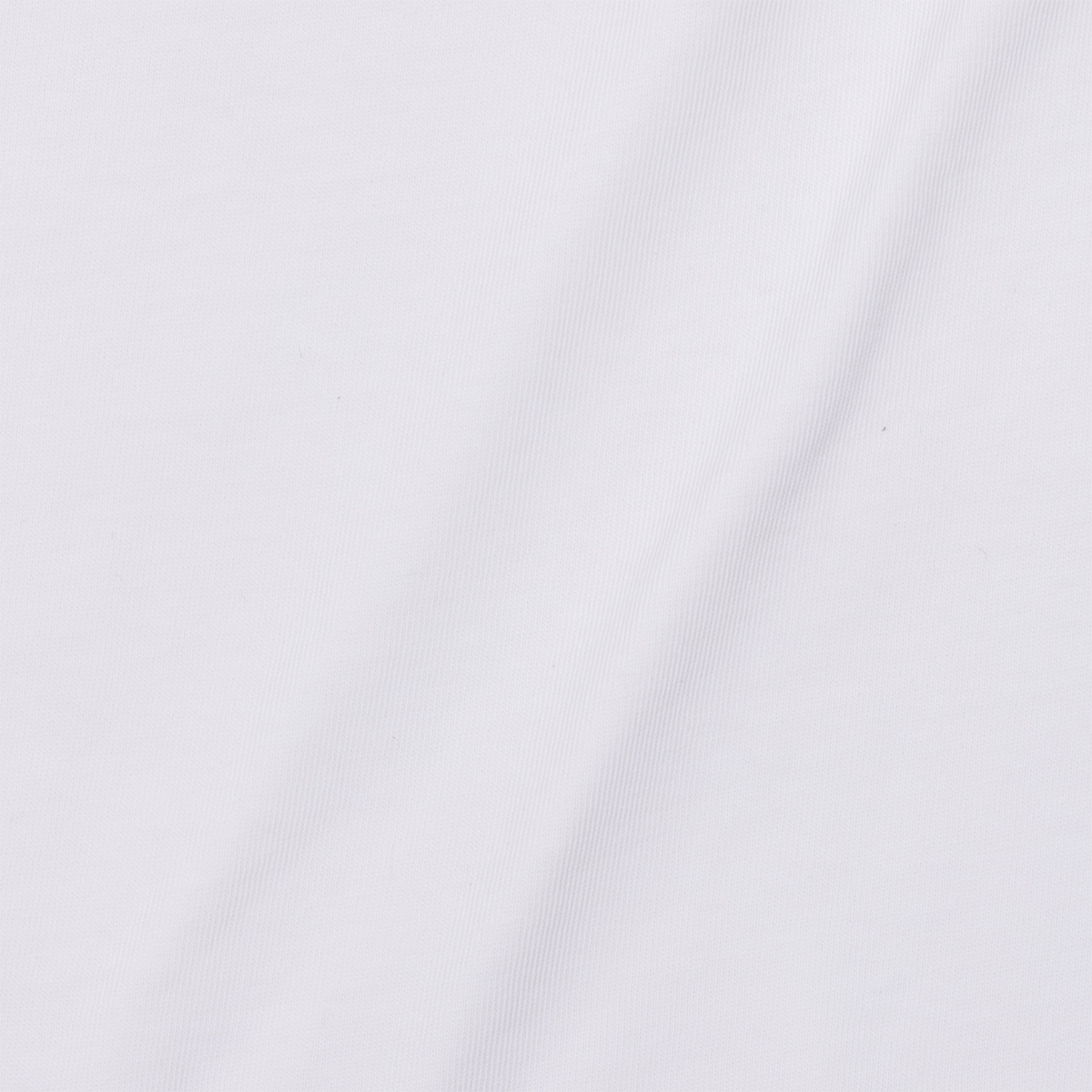 Heavyweight Pigment Tee